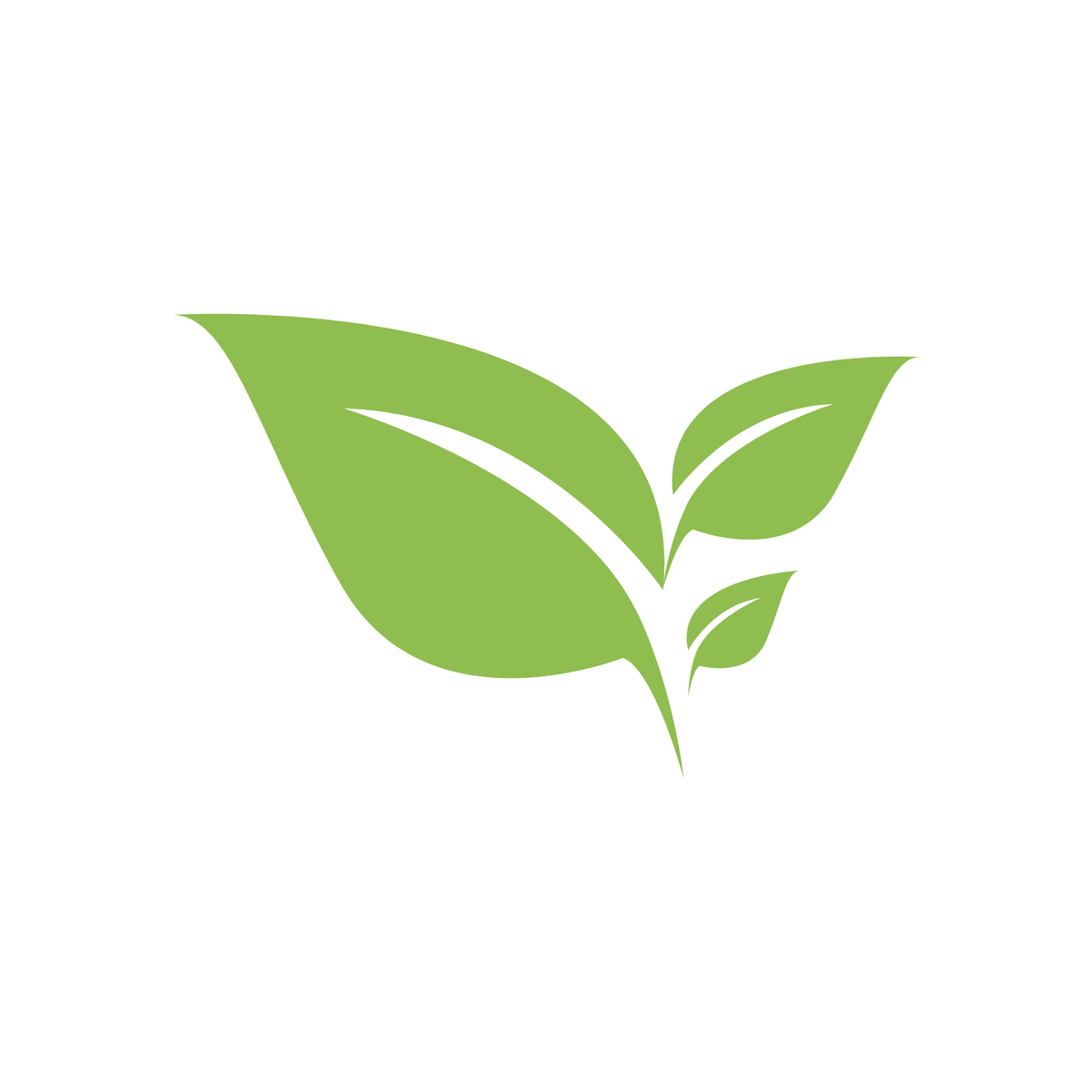 Conseils personnalisés pour un jardin impeccable